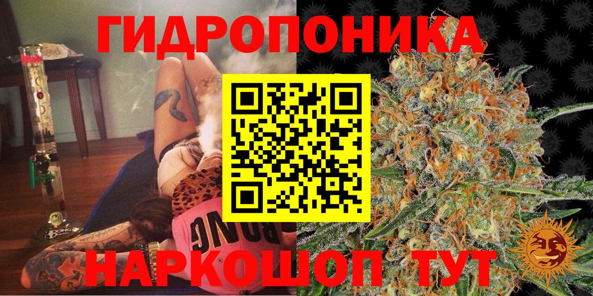 Бошки Шишки планчик  Марихуана семена  Вход с VPN  Петропавловск-Камчатский  Каннабис VHQ  Конопля тримм 